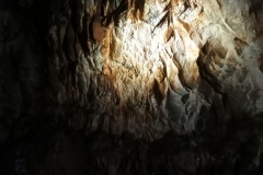 IMG_20211030_111359_0