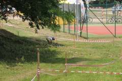 218095143_352415959597996_2087300011140810912_n_352415952931330