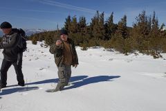 viber_image_2022-03-12_14-43-59-090