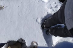 viber_image_2022-03-12_14-47-46-513