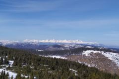 viber_image_2022-03-12_14-47-46-973