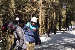 viber_image_2022-03-12_19-16-08-379