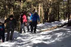 viber_image_2022-03-12_19-16-08-782