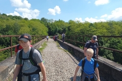 196177376_472723033826754_1035279661056753581_n