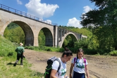 196682857_305474417887978_404419234417173163_n