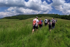 196774565_321678622790427_4646027439488809200_n